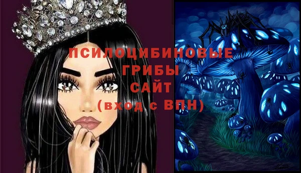 первитин Белокуриха