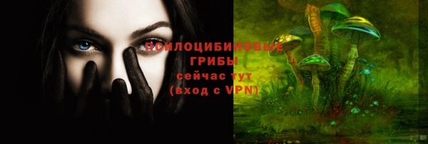 первитин Белокуриха
