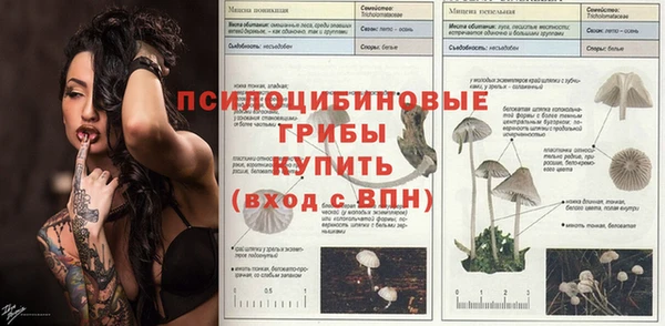 ешки Баксан