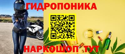 тгк Аргун