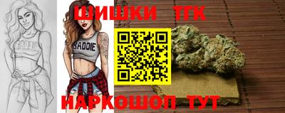 тгк Аргун
