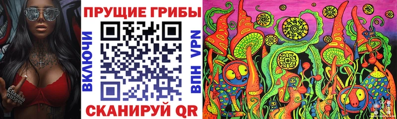 Псилоцибиновые грибы мухоморы  где купить наркотик  Великий Устюг 